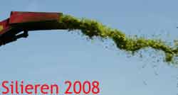 silieren
