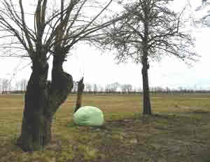 silageballen