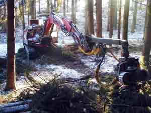 harvestereinsatz